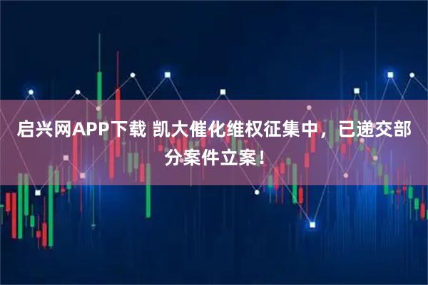 启兴网APP下载 凯大催化维权征集中，已递交部分案件立案！